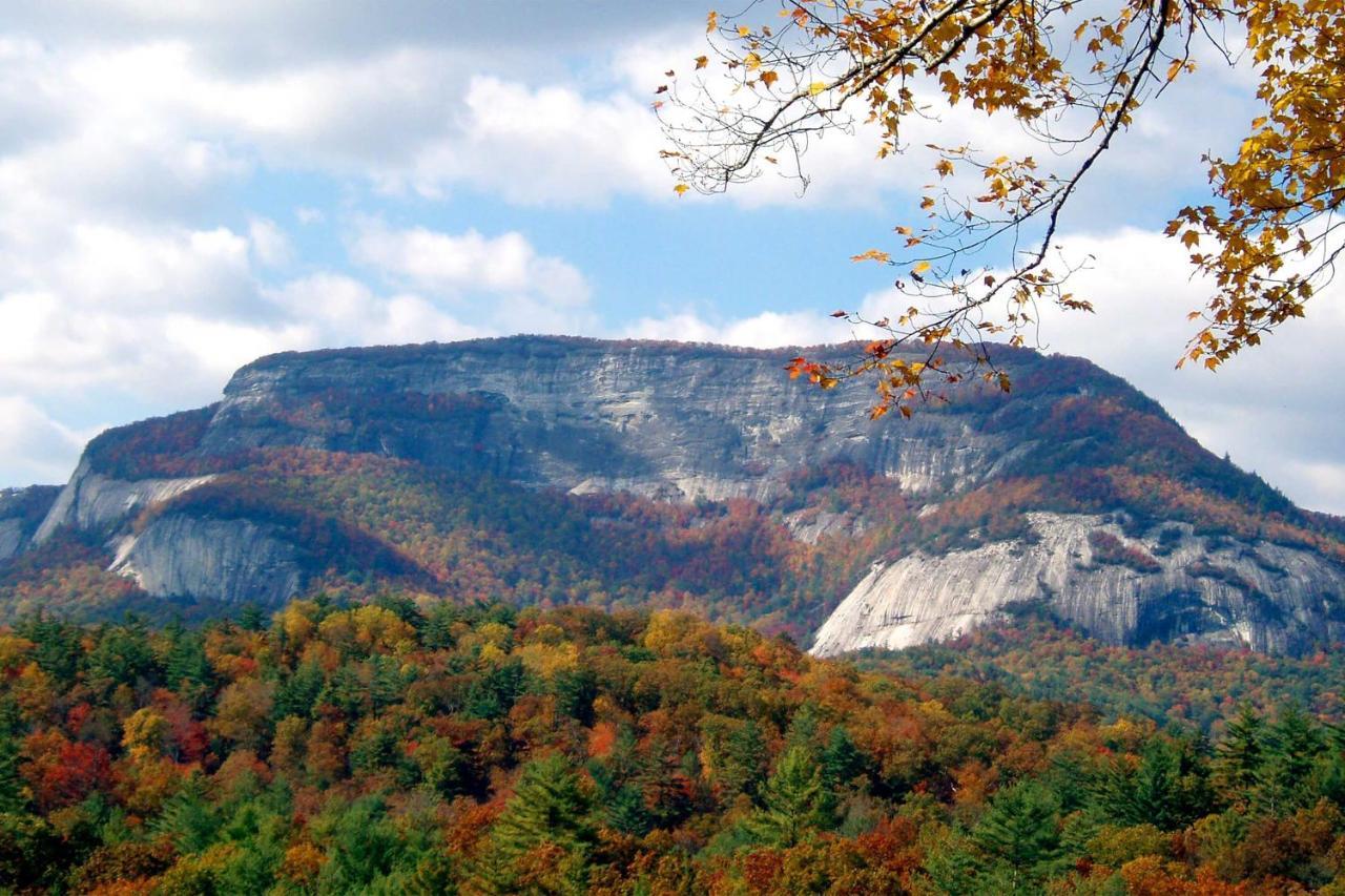 Heavenly Bearadise Cabin In Cashiers, Nc! Buitenkant foto