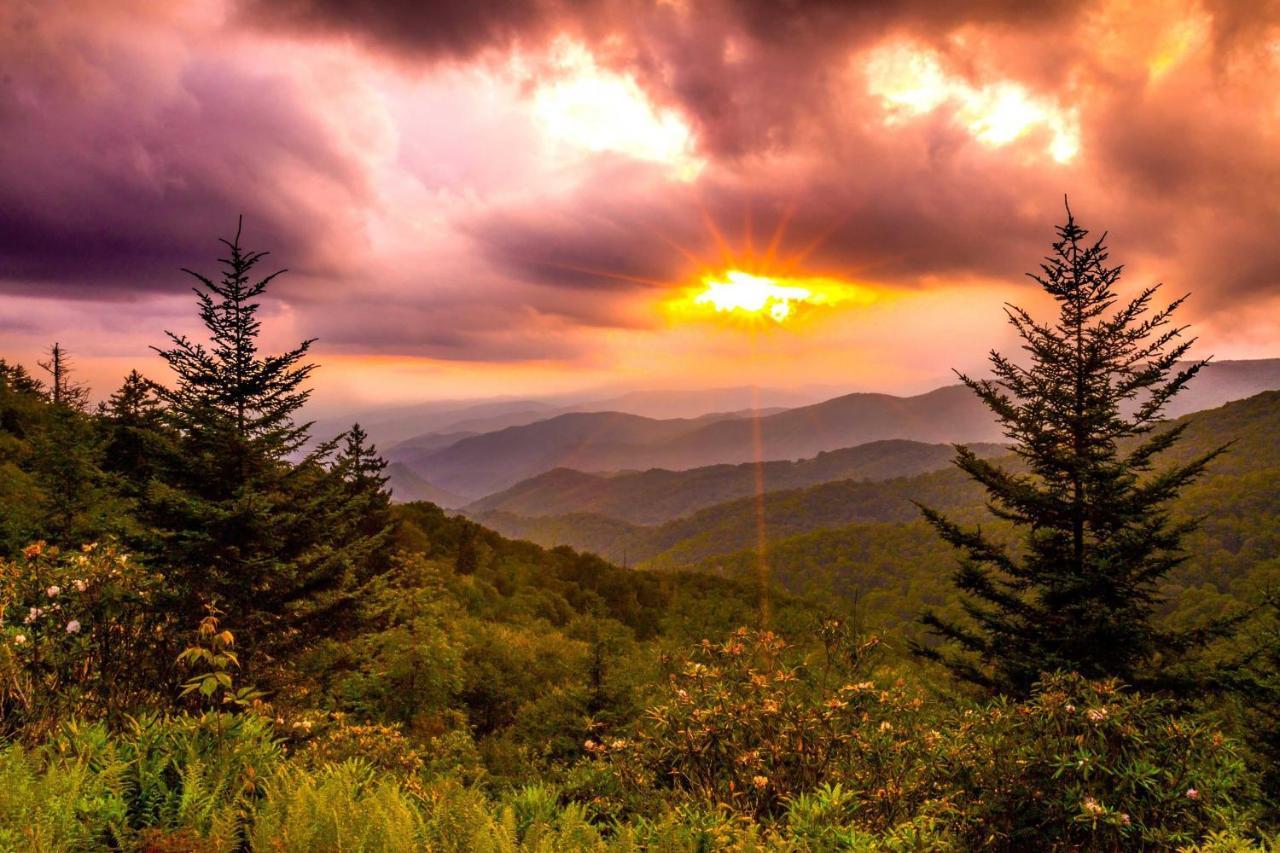 Heavenly Bearadise Cabin In Cashiers, Nc! Buitenkant foto
