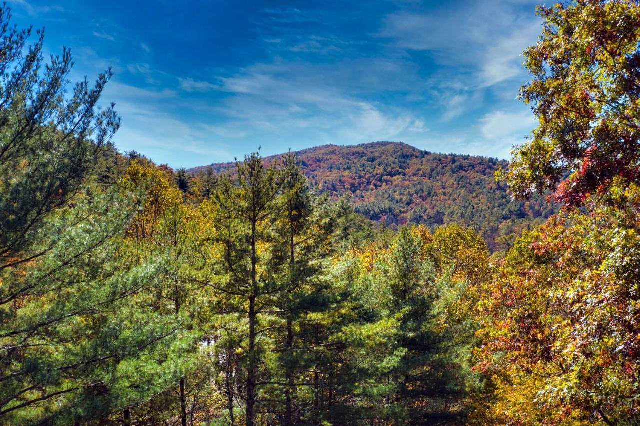 Heavenly Bearadise Cabin In Cashiers, Nc! Buitenkant foto